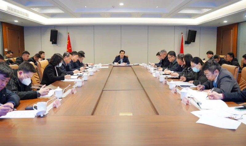 集团召开2025年第1次党委（扩大）会暨月度工作例会