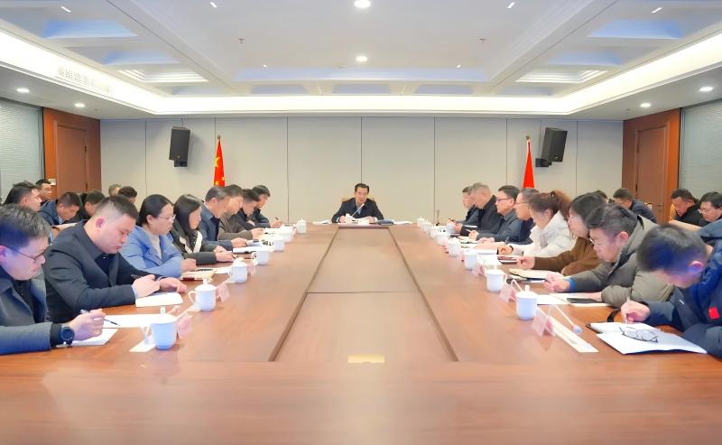 集团召开2月份月度工作例会暨生产经营形势分析会议
